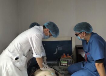 Kịp thời thành lập Tổ cấp cứu đáp ứng nhanh ngoại viện tại phường Trung Tự và Khương Trung (LĐTĐ)