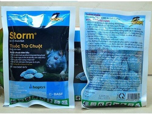 Cảnh giác với ngộ độc thuốc diệt chuột kháng vitamin K